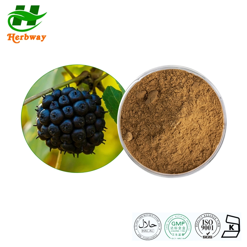 Herbway Plant Extract Natural Feed Additives Eleutherosides B + E Siberian Ginseng Root Extract