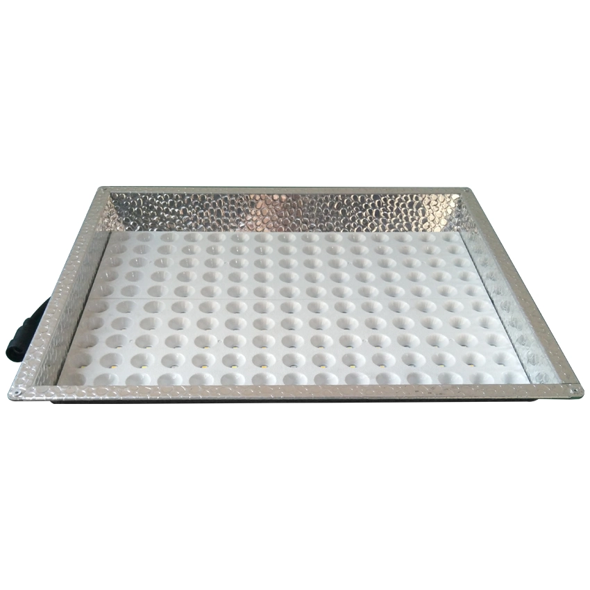 LED Grow Light Full Spectrum Hydroponic Indoor for Veg Flower